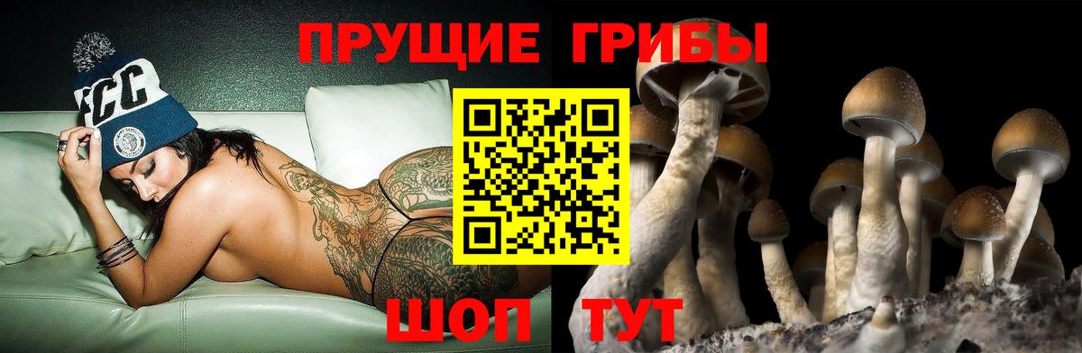 Галлюциногенные грибы ЛСД  Вход с VPN  Псилоцибиновые грибы Psilocybine cubensis  купить   Обь 