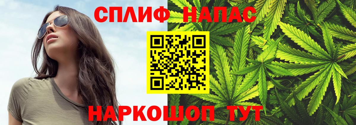 Конопля MAZAR Обь
